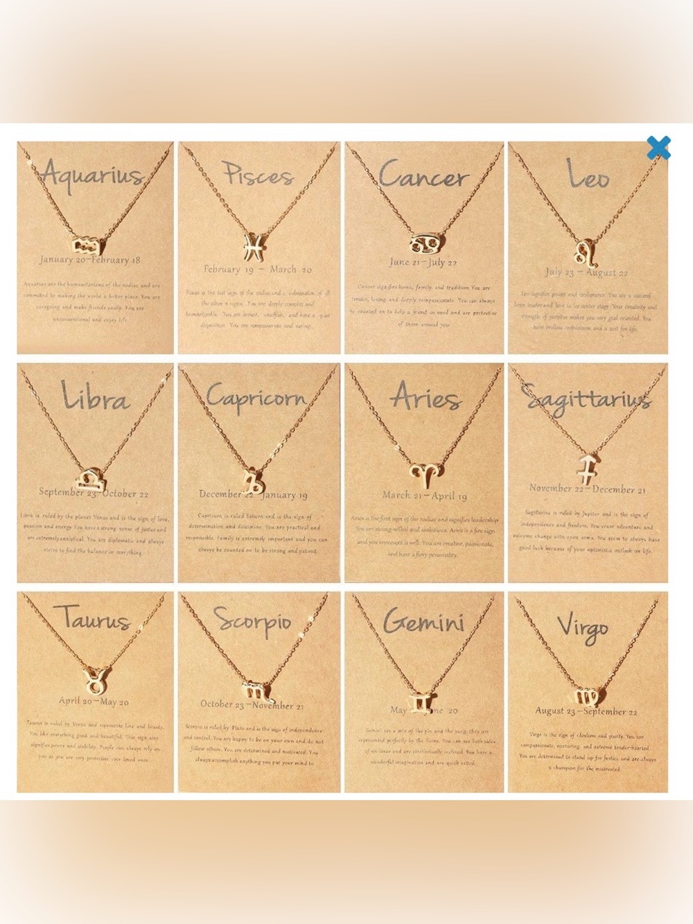 Zodiac Necklace in Gold (All 12 Signs Available)